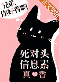 死对头信息素真香